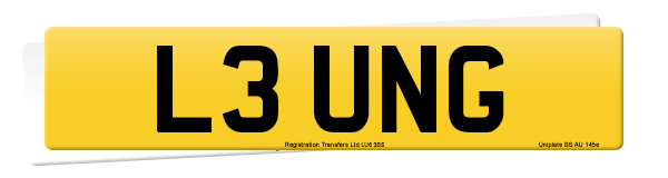 Registration number L3 UNG